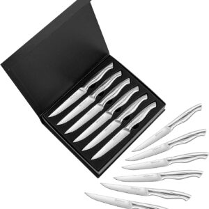 BECOKAY Steak Knives - Steak Knives Set of 12 High Carbon German Steel Serrated Steak Knife - Kitchen Cutlery Set 4.3 Inch Steak Knife Set - Ergonomic Full Tang Hollow Handle (Silver)